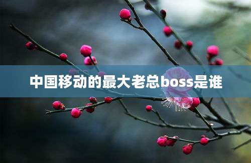 中国移动的最大老总boss是谁