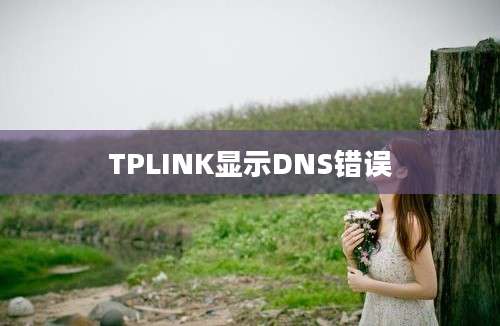 TPLINK显示DNS错误