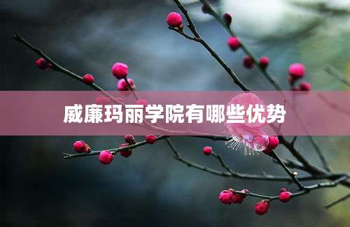 威廉玛丽学院有哪些优势