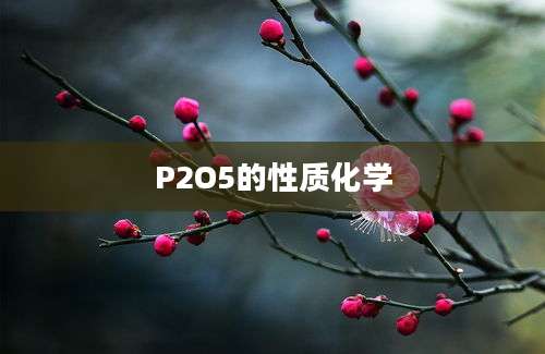 P2O5的性质化学