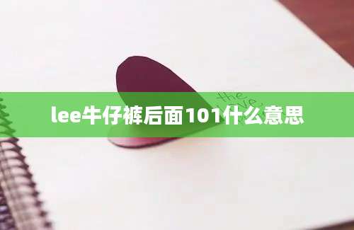 lee牛仔裤后面101什么意思