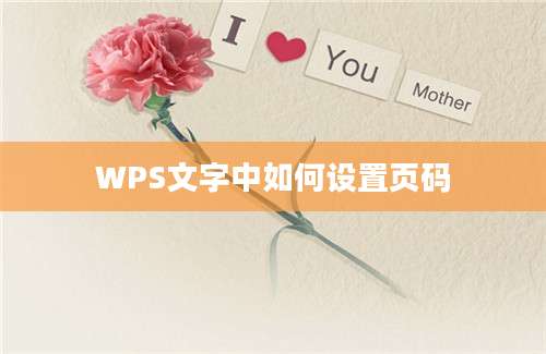 WPS文字中如何设置页码