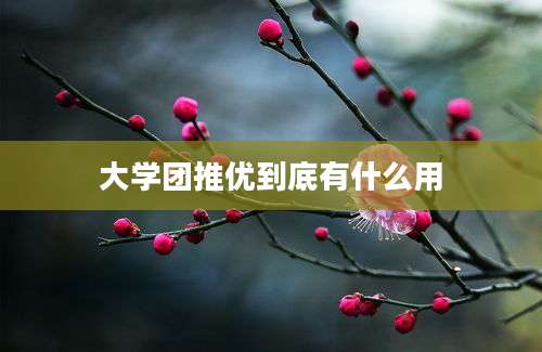 大学团推优到底有什么用