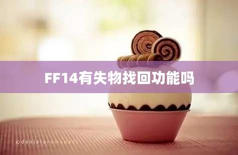 FF14有失物找回功能吗