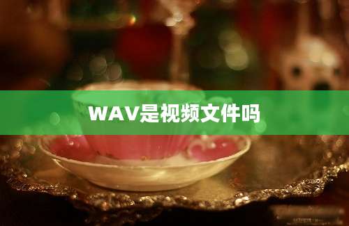 WAV是视频文件吗