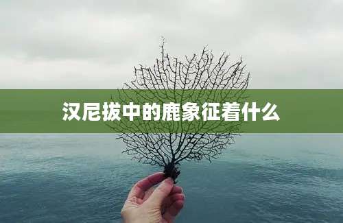 汉尼拔中的鹿象征着什么