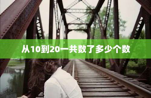 从10到20一共数了多少个数