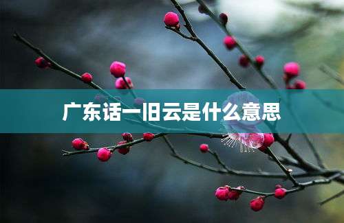 广东话一旧云是什么意思