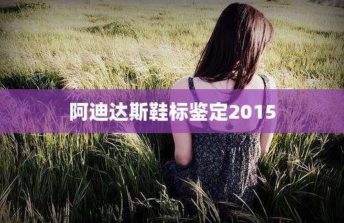 阿迪达斯鞋标鉴定2015