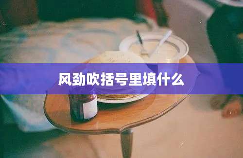 风劲吹括号里填什么