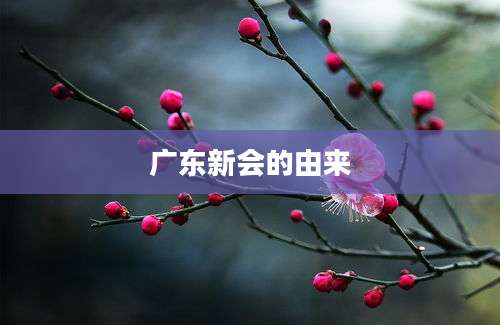 广东新会的由来