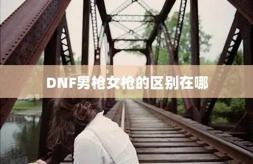 DNF男枪女枪的区别在哪