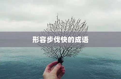 形容步伐快的成语