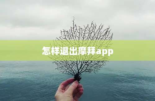 怎样退出摩拜app