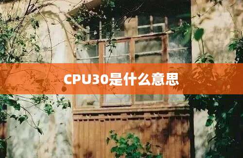 CPU30是什么意思