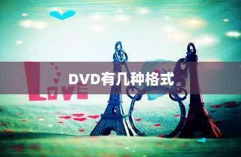 DVD有几种格式