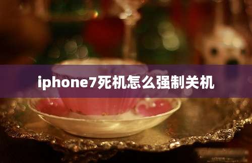 iphone7死机怎么强制关机