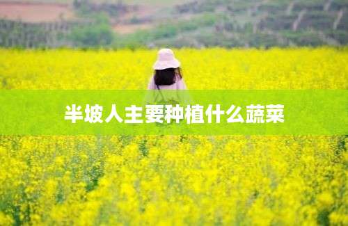 半坡人主要种植什么蔬菜