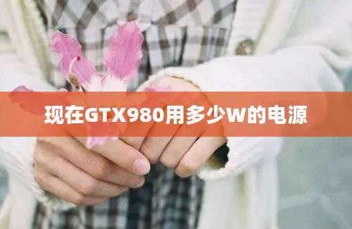 现在GTX980用多少W的电源