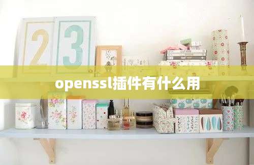 openssl插件有什么用