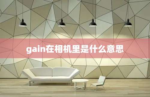 gain在相机里是什么意思