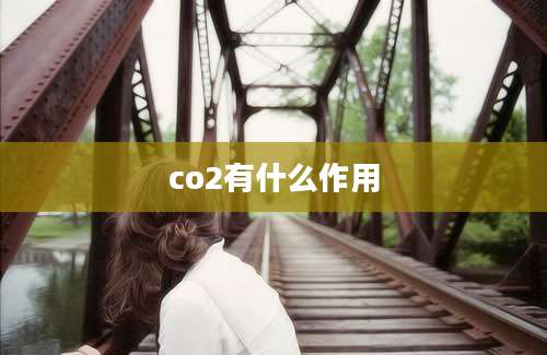 co2有什么作用