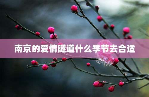 南京的爱情隧道什么季节去合适