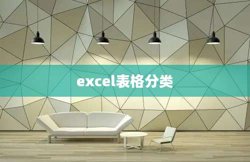 excel表格分类