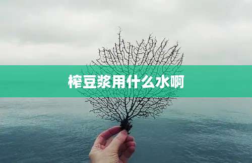 榨豆浆用什么水啊