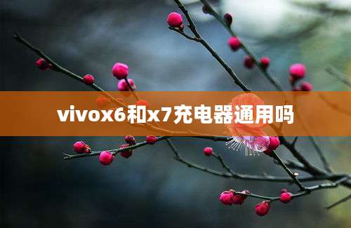 vivox6和x7充电器通用吗