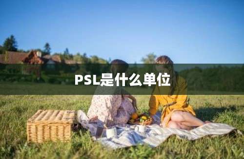 PSL是什么单位