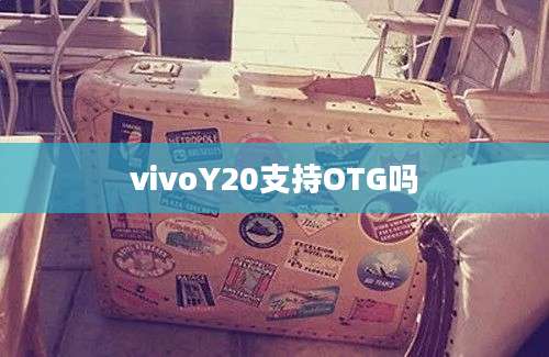 vivoY20支持OTG吗