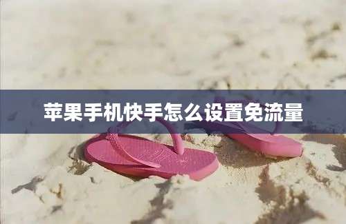 苹果手机快手怎么设置免流量