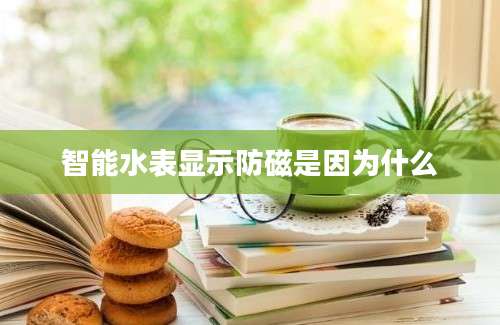 智能水表显示防磁是因为什么