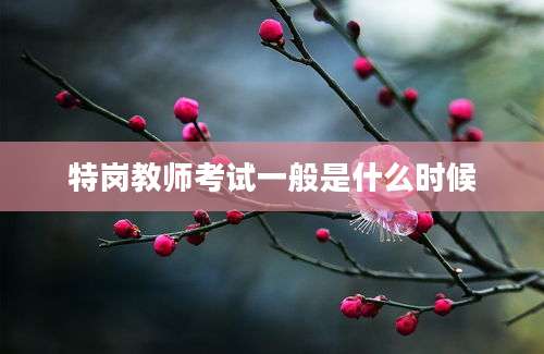 特岗教师考试一般是什么时候