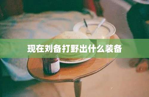 现在刘备打野出什么装备