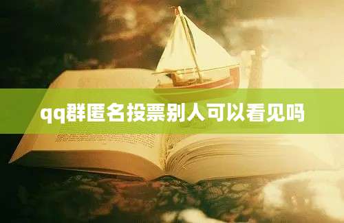 qq群匿名投票别人可以看见吗