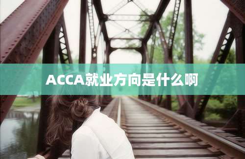 ACCA就业方向是什么啊