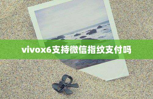 vivox6支持微信指纹支付吗