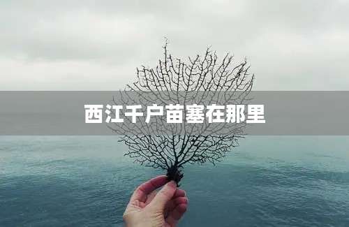 西江千户苗塞在那里