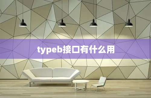 typeb接口有什么用