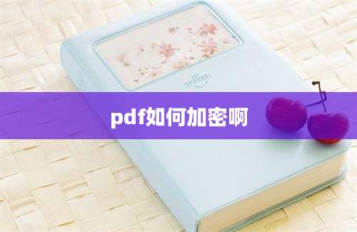 pdf如何加密啊