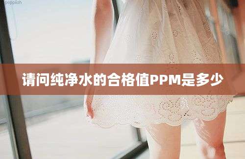 请问纯净水的合格值PPM是多少