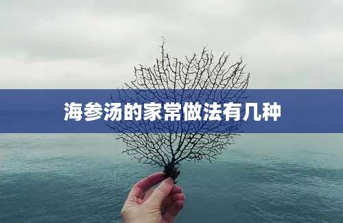 海参汤的家常做法有几种