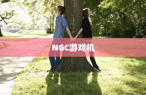 NGC游戏机