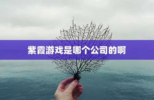 紫霞游戏是哪个公司的啊