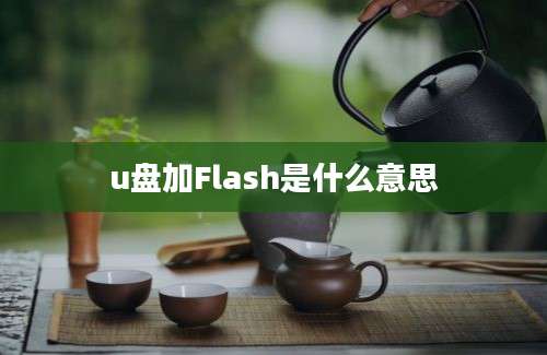 u盘加Flash是什么意思