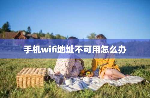 手机wifi地址不可用怎么办