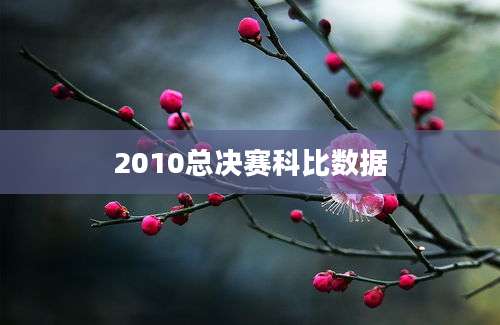 2010总决赛科比数据