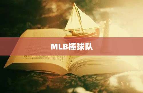 MLB棒球队